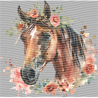 Animal Integration-DW 388